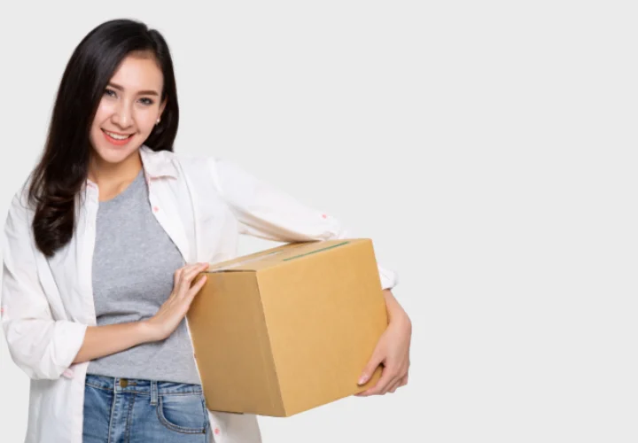 mayorista_category_2